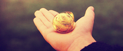 golden-snitch-gif.gif