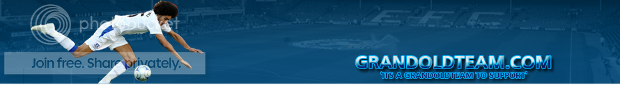 fellainibanner2.png