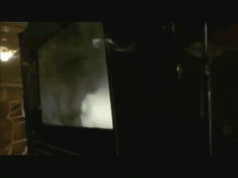 SI6u.gif