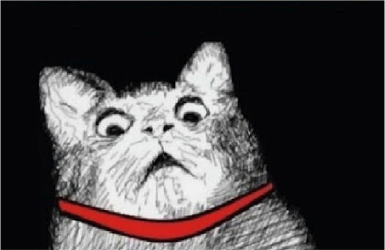 meme-cat.png