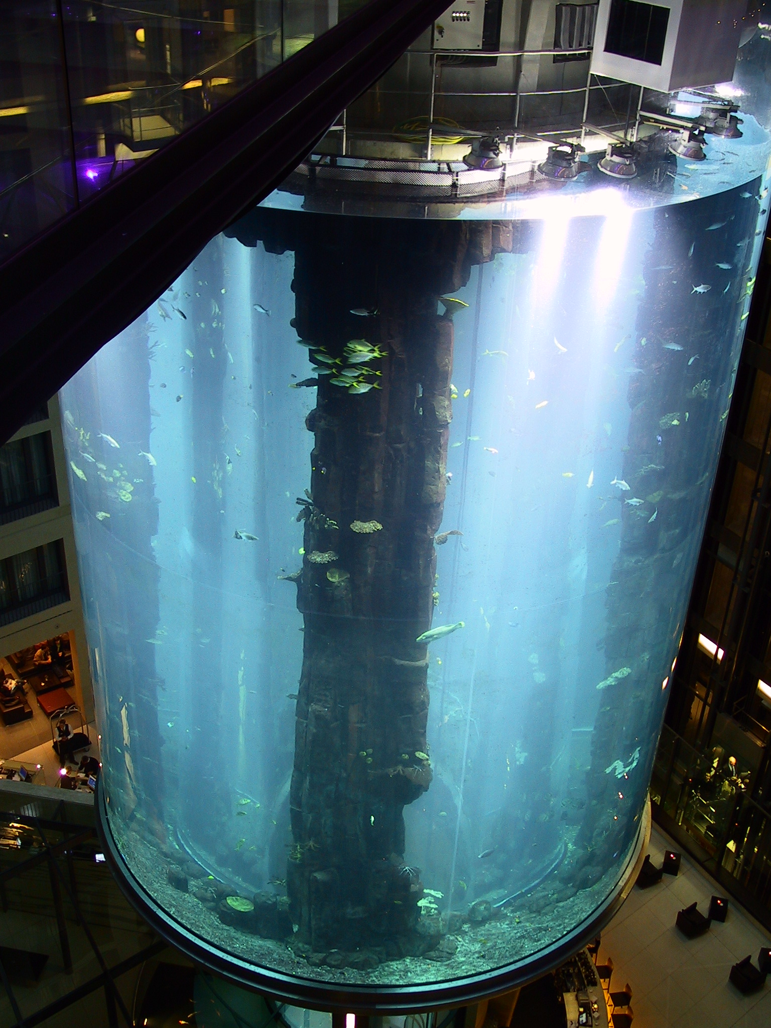 SeaLife_AquaDomBerlin.JPG