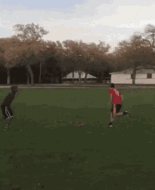 bump-into-tree-oops.gif