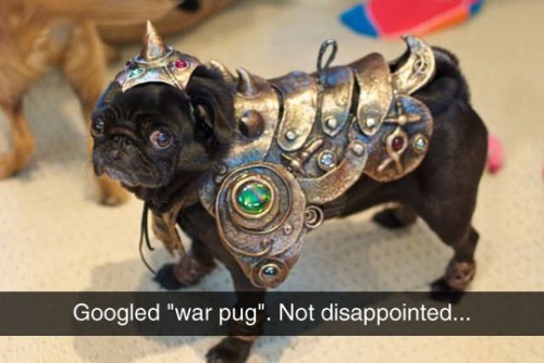 tumblr_o1qqlctMBq1rvotc5o1_500.jpg