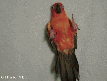%23%21.gif