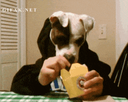 200.gif