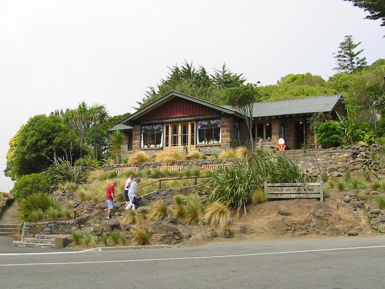 2094-sign-of-the-kiwi.jpg