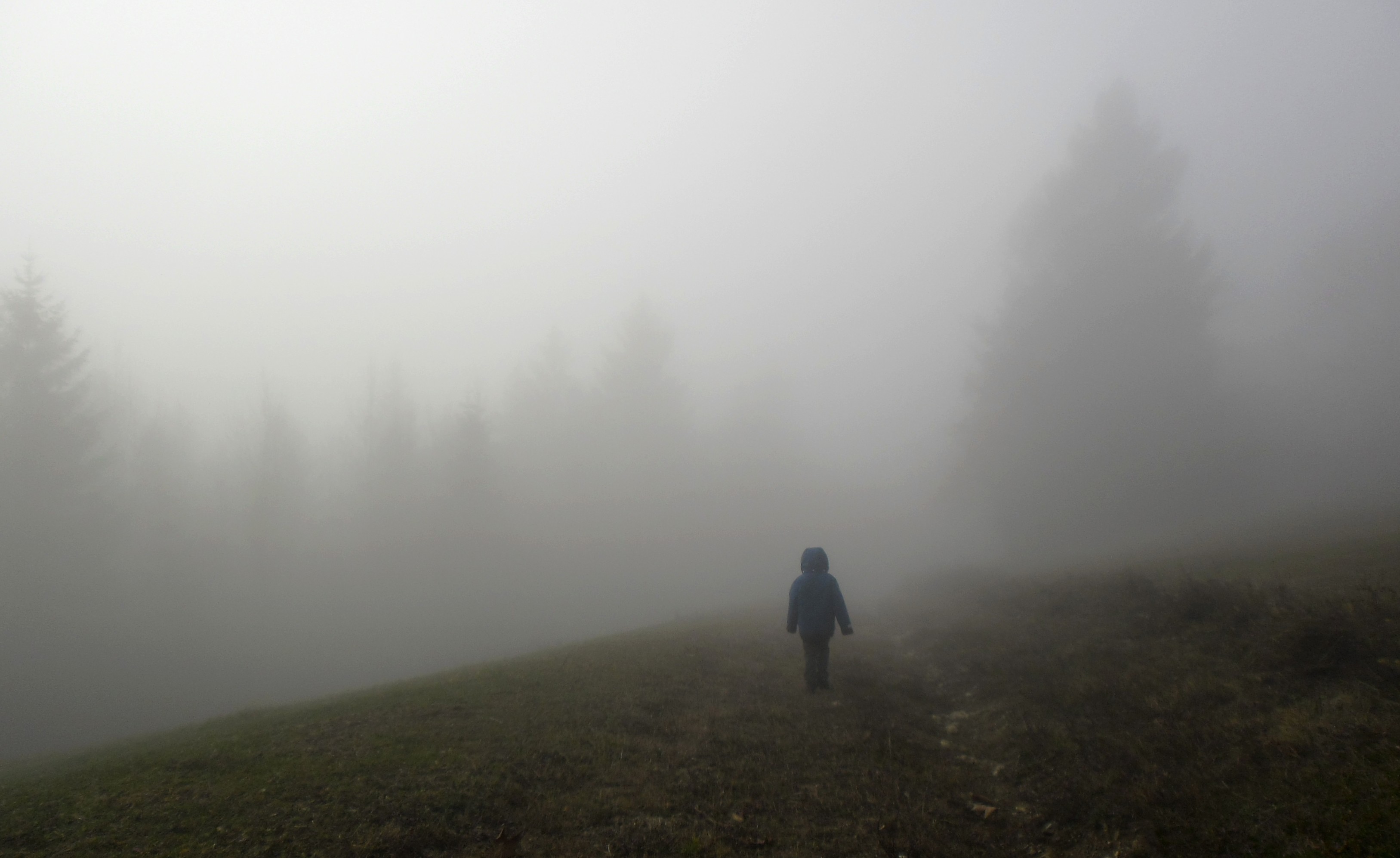 d-walking-into-the-mist.jpg