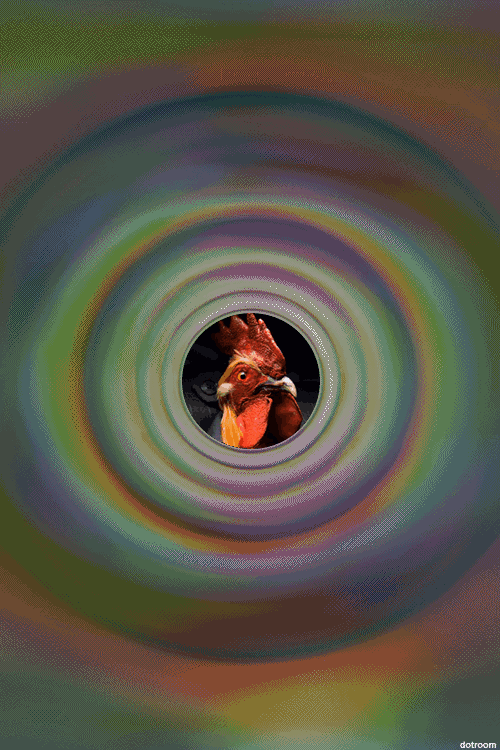 tumblr_nmwrcaIJC31rpj04no1_500.gif