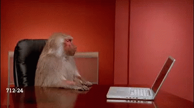 nope-monkey.gif