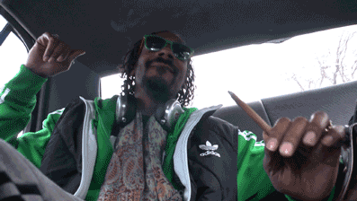 tumblr_mpqilkvC4Y1spo3yuo1_400.gif