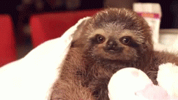 tumblr_mynr4iG8Gn1rqfhi2o1_400.gif