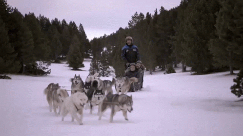 coolhunters-tv3.gif