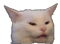 Confused Cat GIF - Confused Cat ConfusedCat GIFs