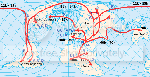 Human_mtDNA_migration-1.png