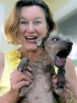 ugly_dog_winner_chinese_meat_crested_1.jpg