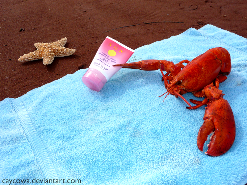 Sunbathing_Lobster_by_caycowa.png