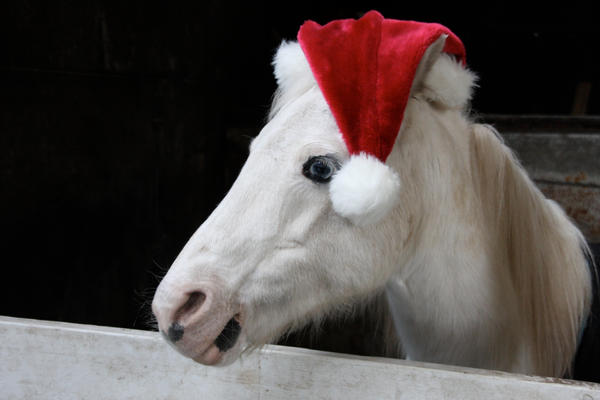 Christmas_Horses_IV_by_webworm.jpg