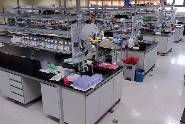 CICB's_Laboratory.jpg