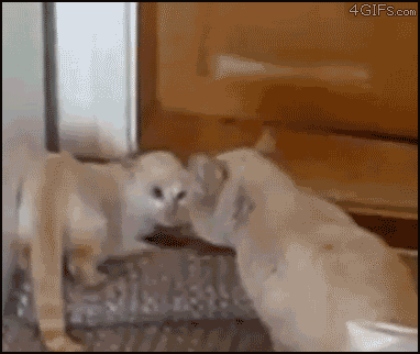 1326620789296.gif