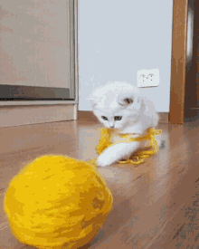 kitty-cute.gif