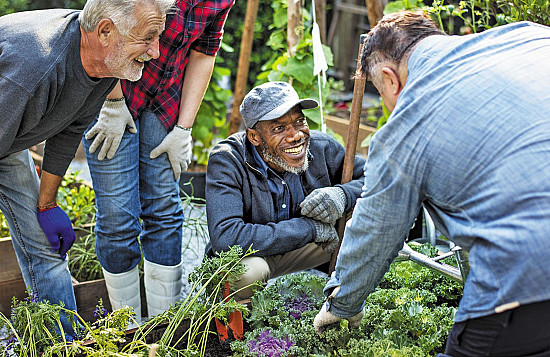 www.health.harvard.edu