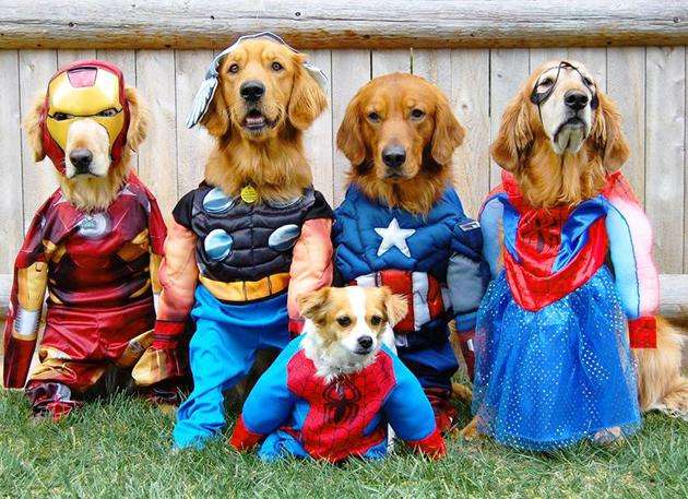 Superhero-labs.jpg
