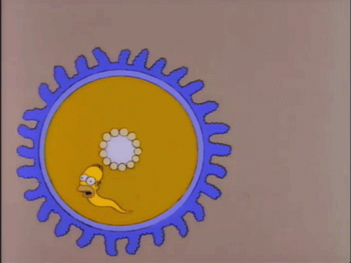 simpsons-homer-simpson.gif