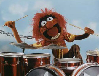 animal-playing-drums.jpeg