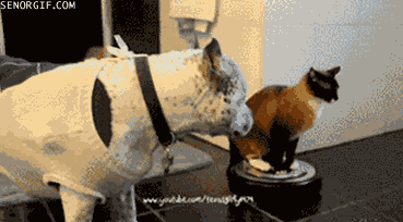 1326656819202.gif