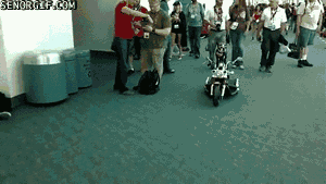 biker.gif