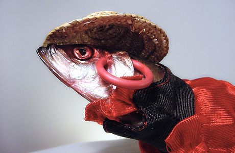 fish460.jpg