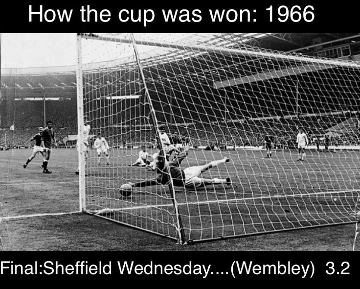 5ea315b142d4dc2954d983affcf56d45--everton.jpg