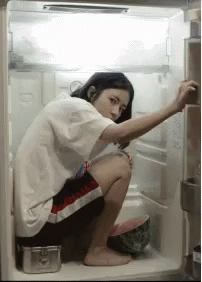 hiding-fridge.gif