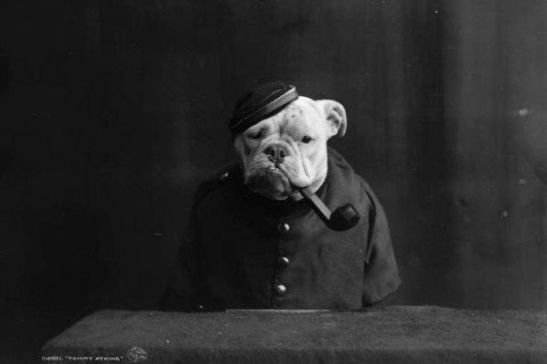 Vintage-Pets.jpg