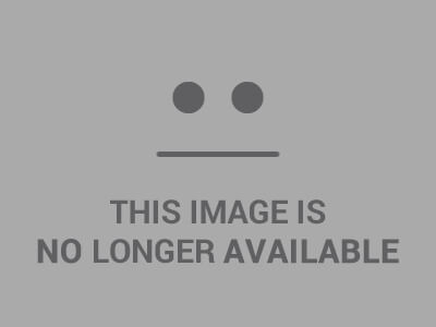 marouane-fellaini-001.jpg