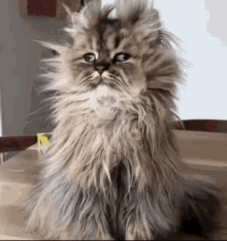 wake-up-morning.gif