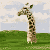 GIRAFFE.gif