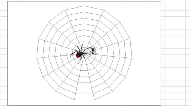 SpiderWebFlyChart.gif