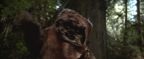 ewok.gif