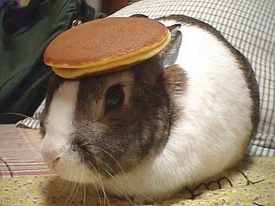 bunstance.jpg
