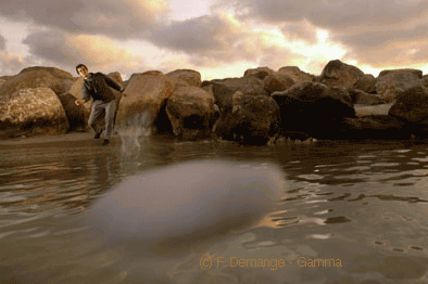ThrownStone.gif