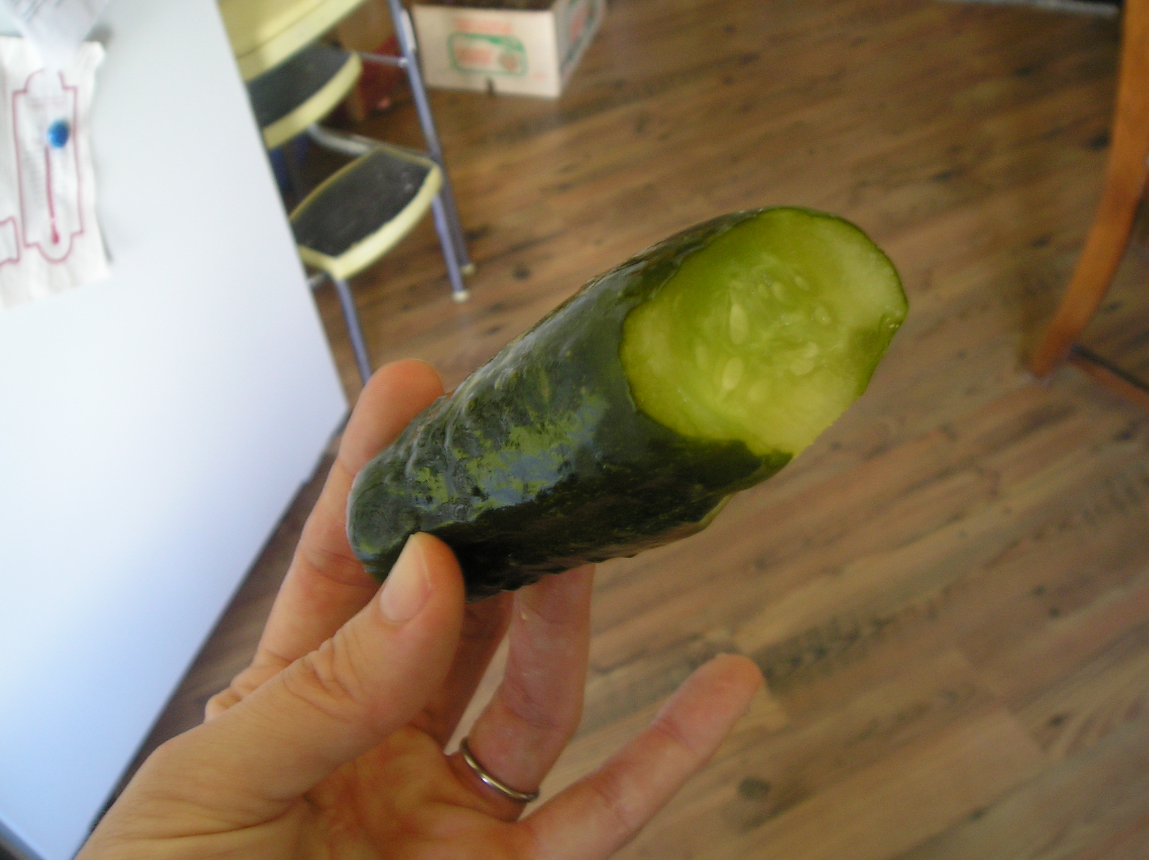 p1010007.jpg