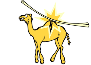 camels_back_featured_image.png