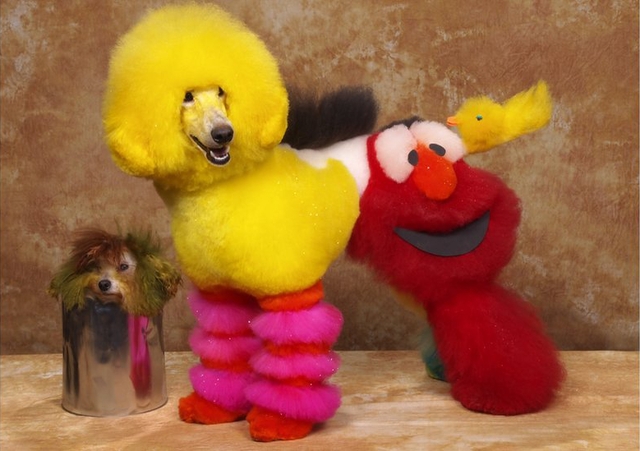 20130618-17363919-bbcsesamestreet.jpg
