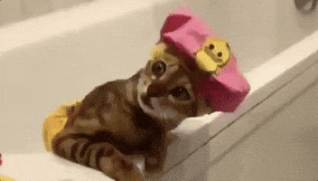 200.gif