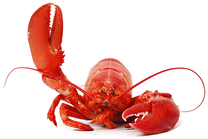 red-lobster.jpg
