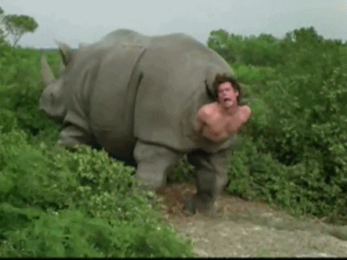 tumblr_m6avn07xRu1ro8ysbo1_400.gif