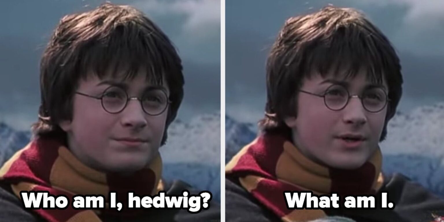 harrypottermemes-lede-1536x769.jpg