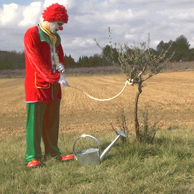 giphy-downsized-large.gif