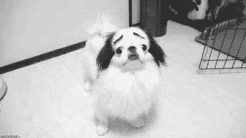 tumblr_lode6ddOHs1qg5e8zo1_500.gif